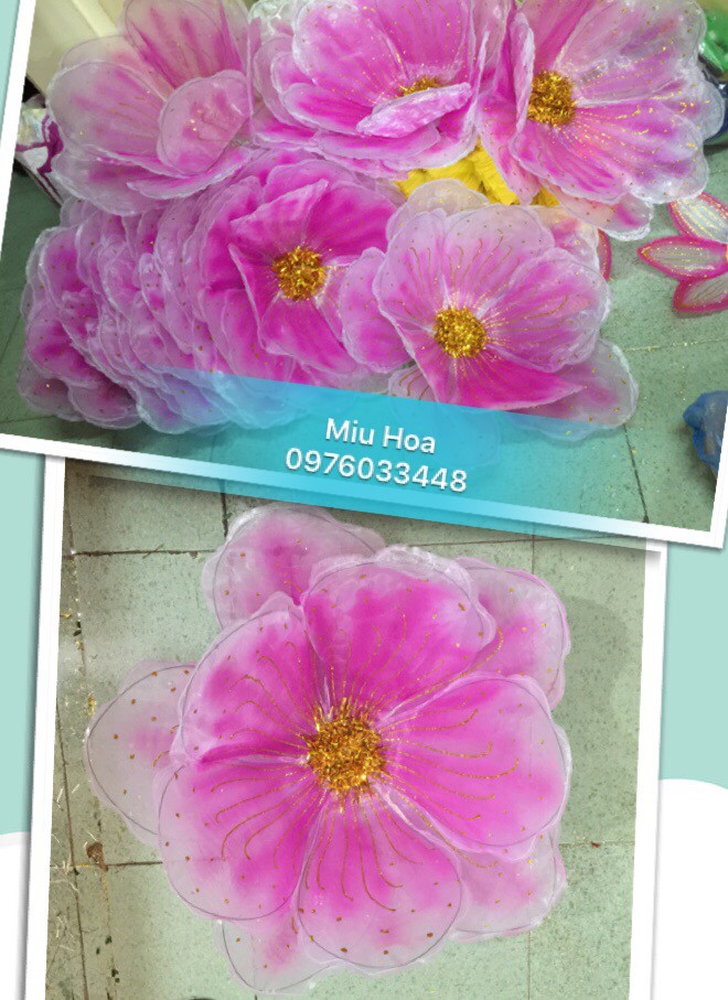 Hoa múa mẫu 27