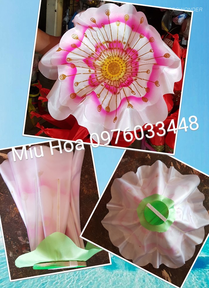 Hoa múa mẫu 96