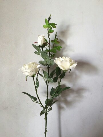 Cành hoa hồng trắng 1