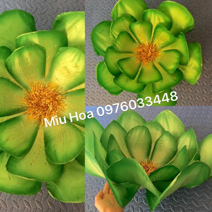 Hoa múa mẫu 44