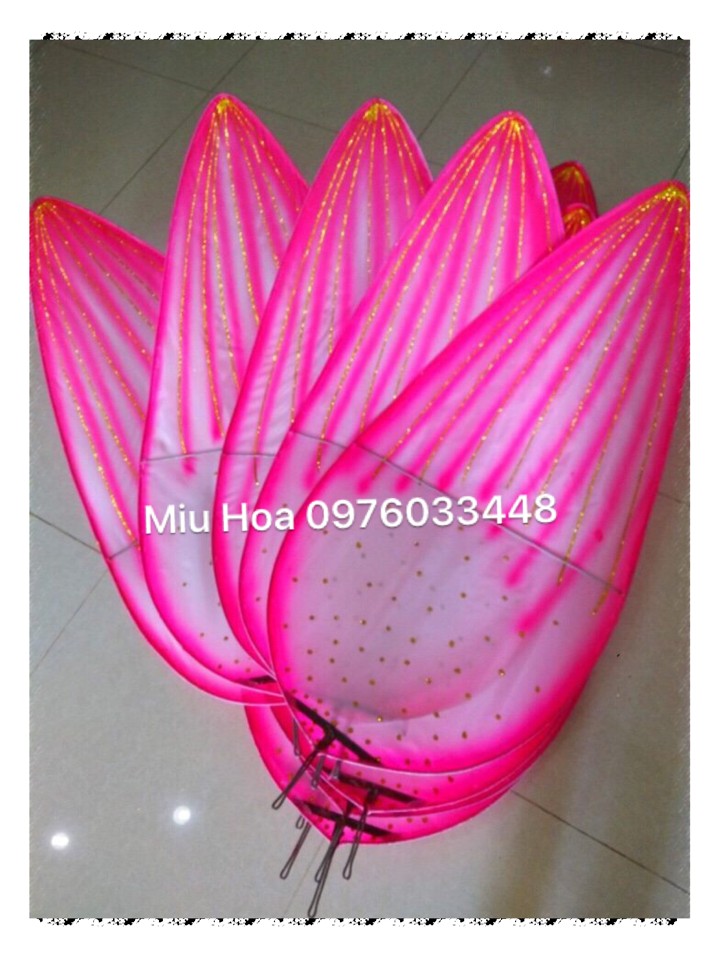 Cánh sen đủ các loại kích cỡ