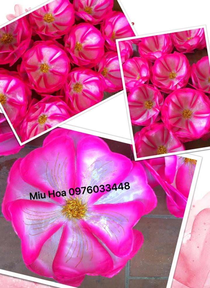 Hoa múa mẫu 48