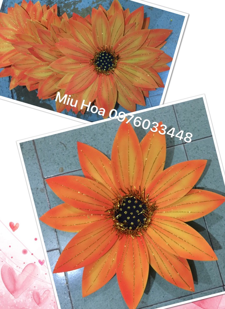 Hoa múa mẫu 50