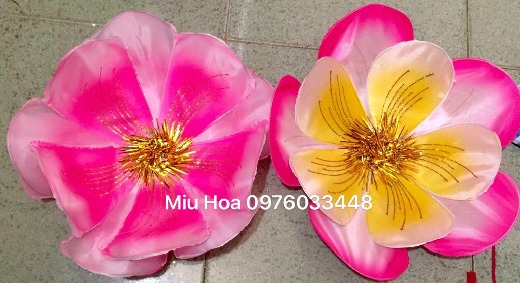 Hoa múa mẫu 51