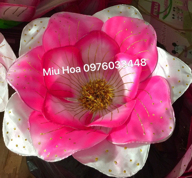 Hoa múa mẫu 55