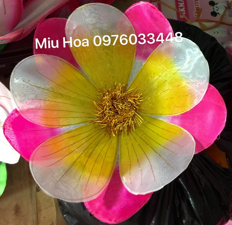 Hoa múa mẫu 56