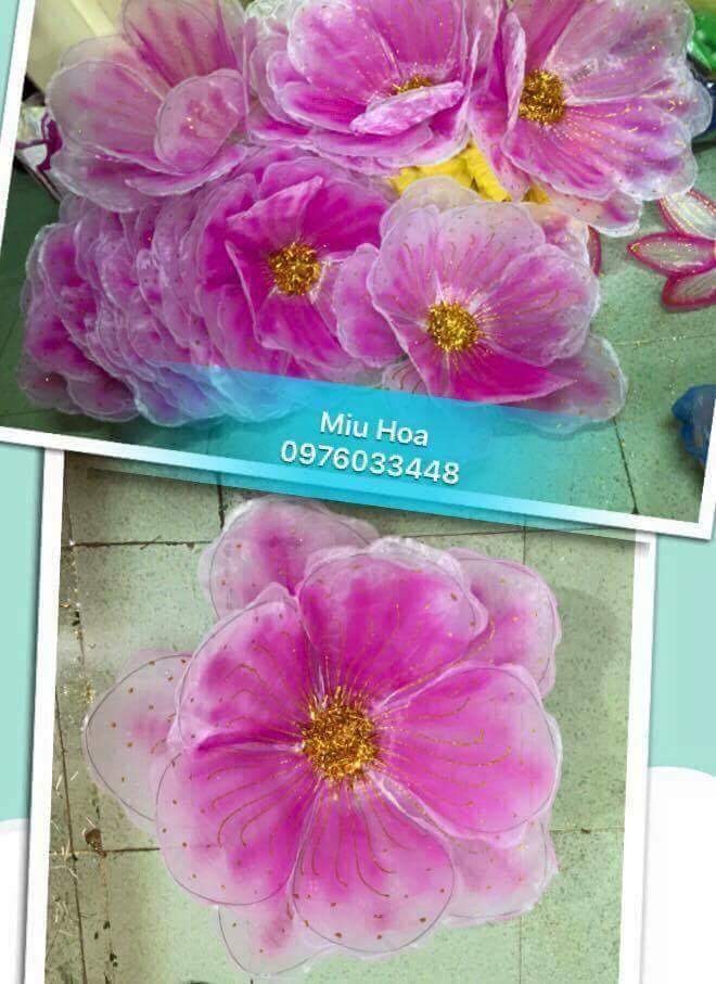 Hoa múa mẫu 60