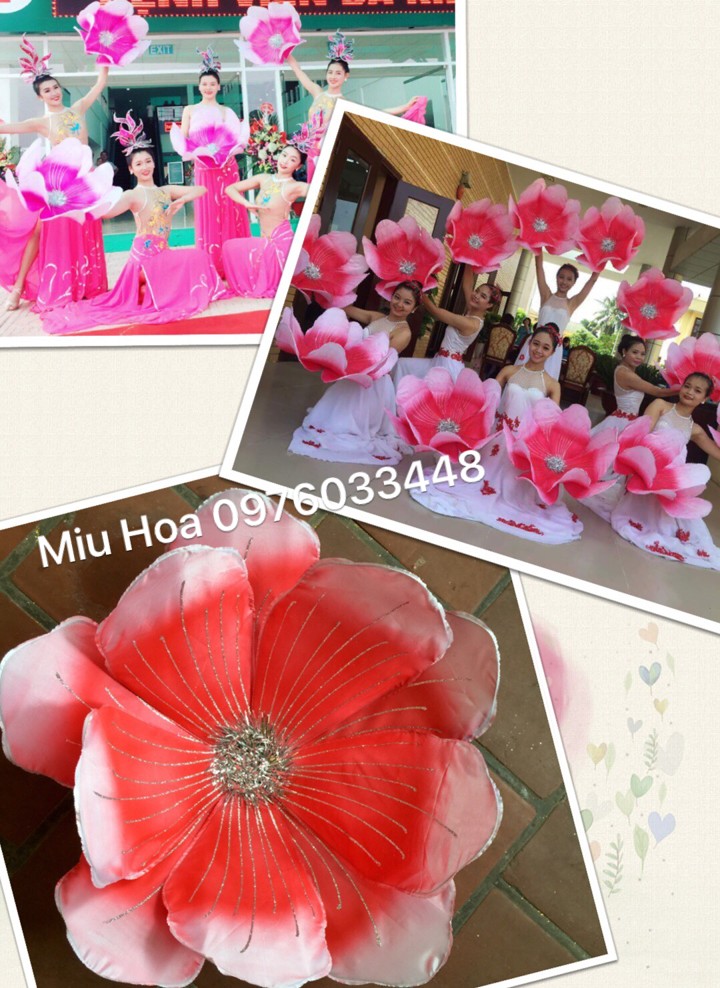 Hoa múa mẫu 62