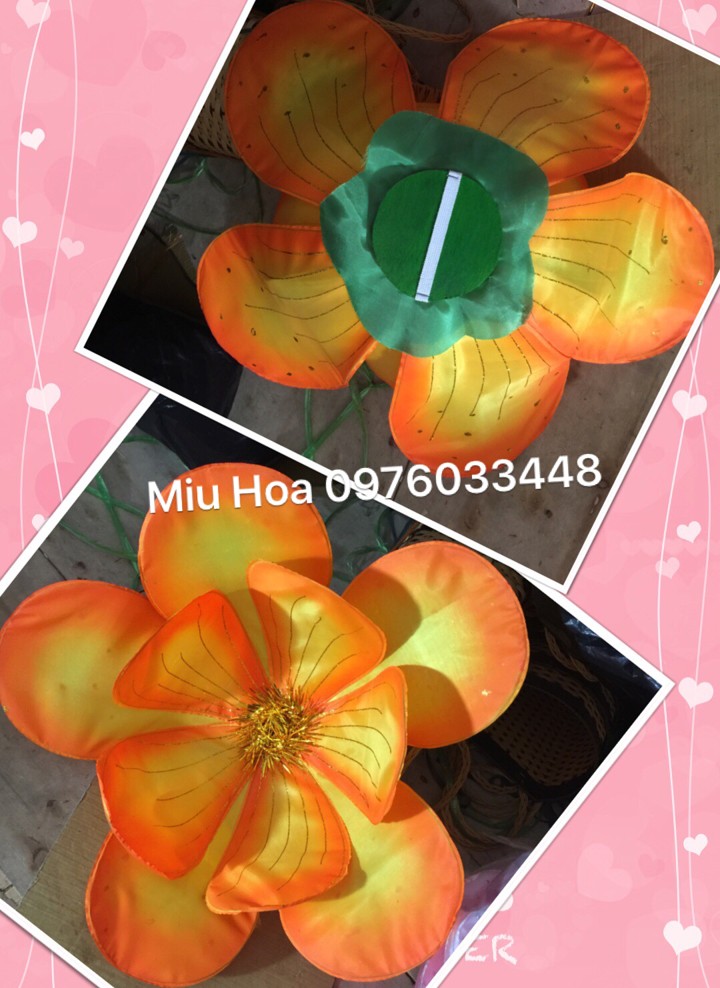Hoa múa mẫu 63