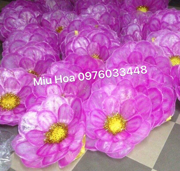 Hoa múa mẫu 65