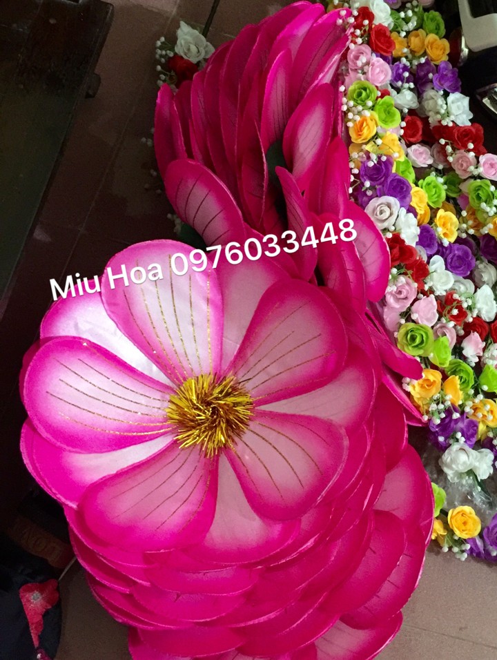 Hoa múa mẫu 67
