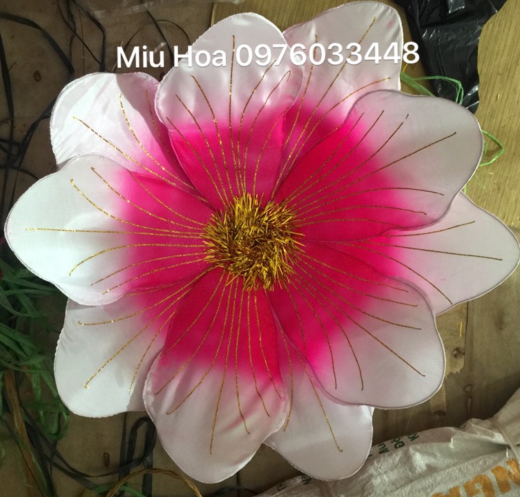Hoa múa mẫu 68
