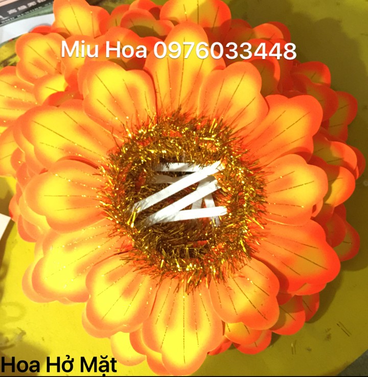 Hoa múa mẫu 72
