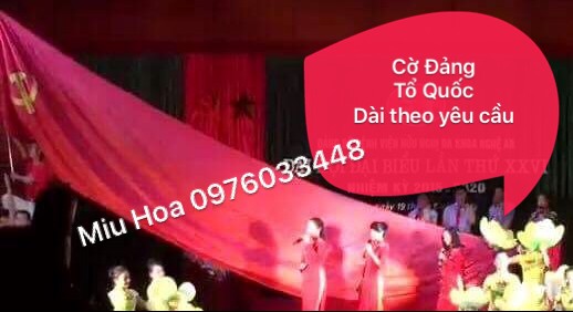 co-dang-to-quoc