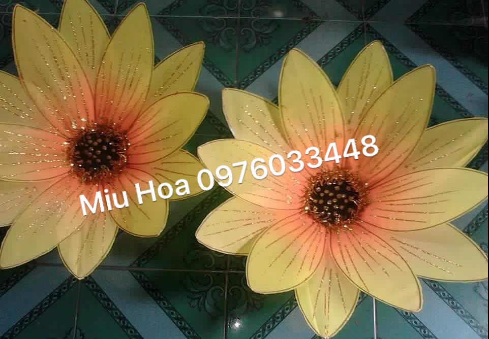 Hoa múa mẫu 74