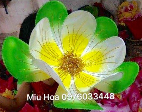 Hoa múa mẫu 76