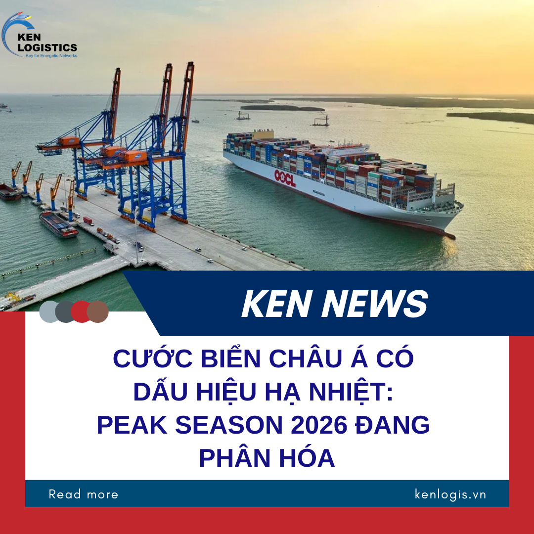CƯỚC BIỂN CHÂU Á CÓ DẤU HIỆU HẠ NHIỆT: PEAK SEASON 2026 ĐANG PHÂN HÓA