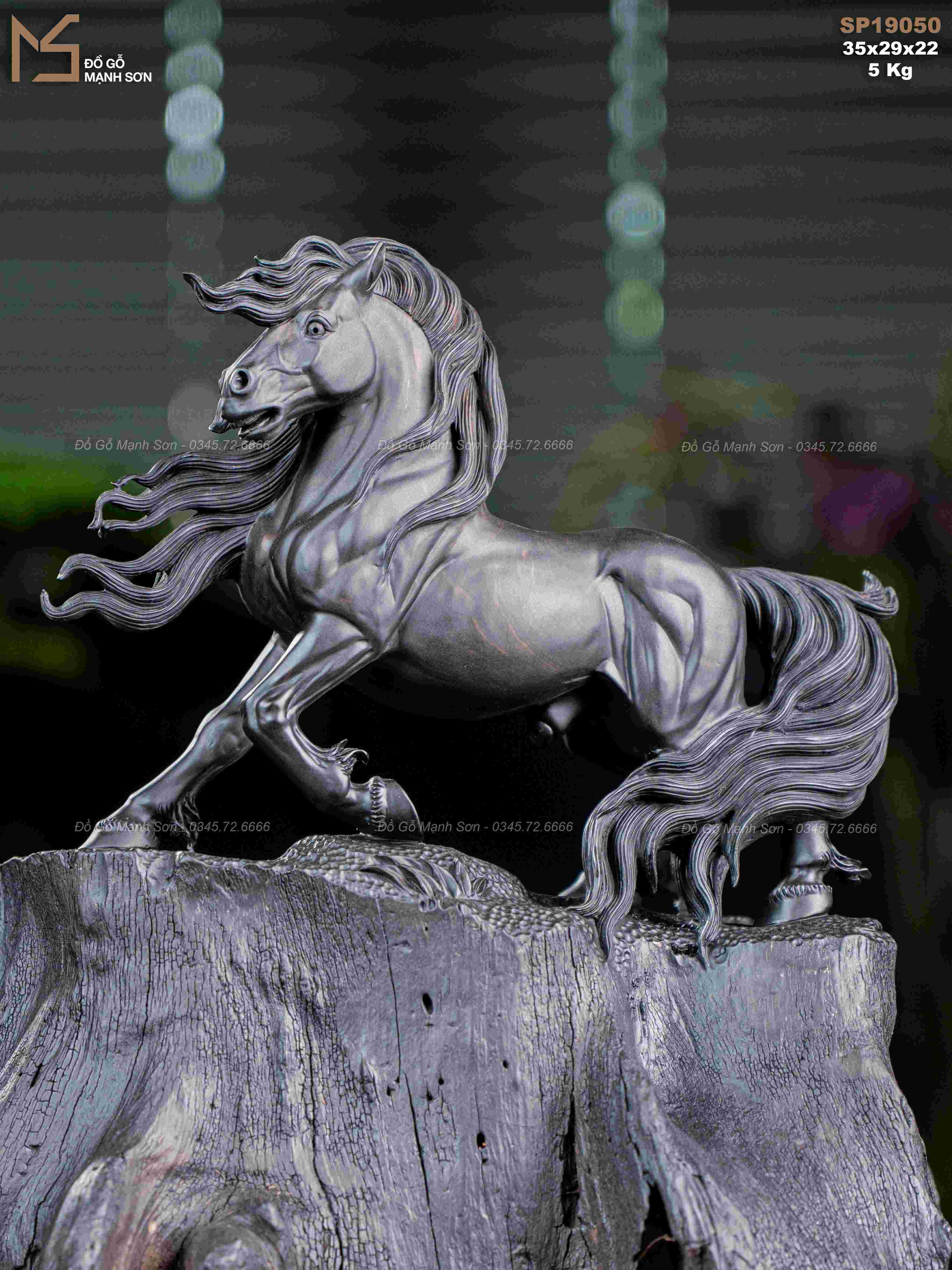 TƯỢNG NHẤT MÃ MUN