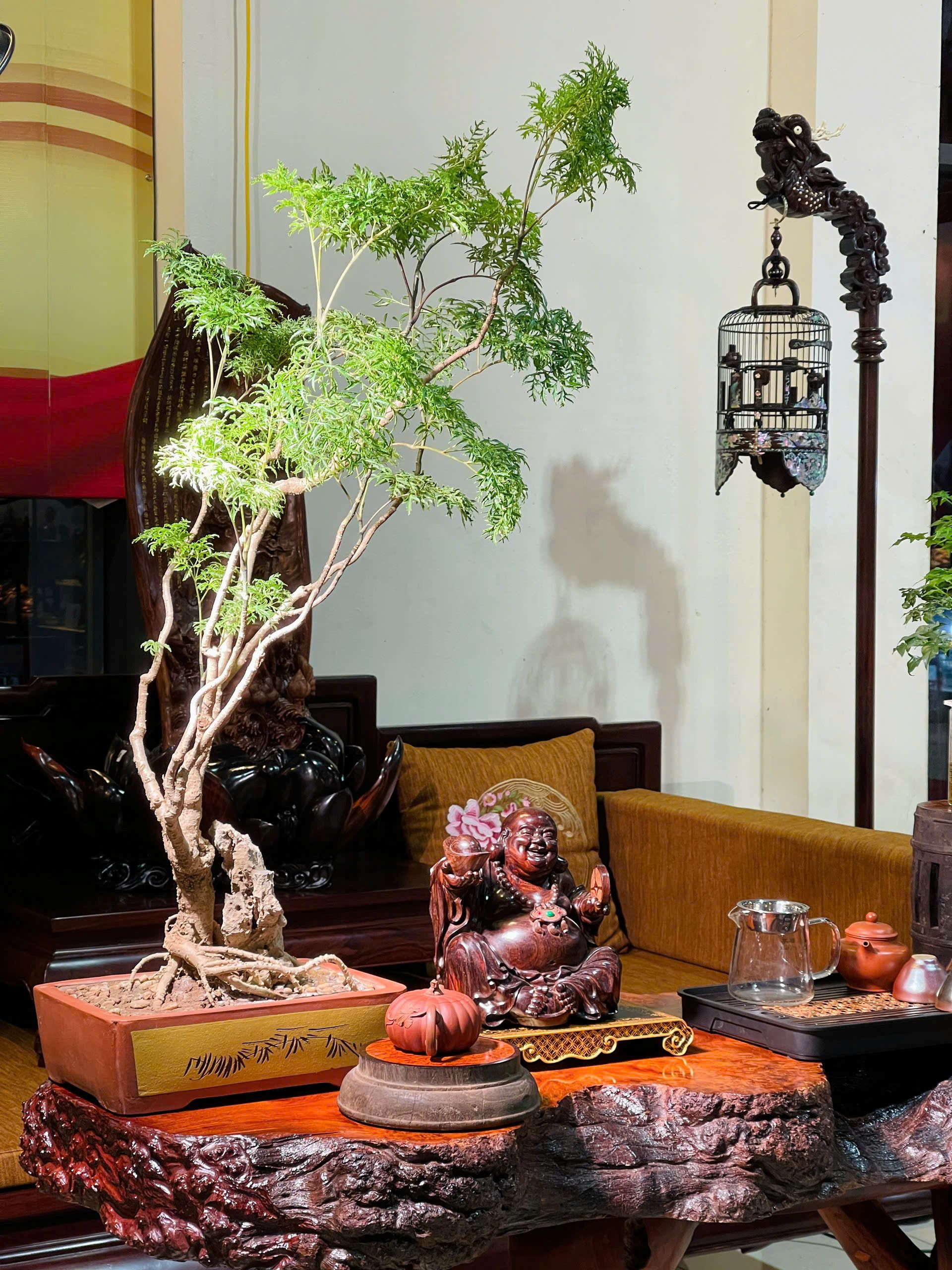 TƯỢNG DI LẶC GỖ SƯA