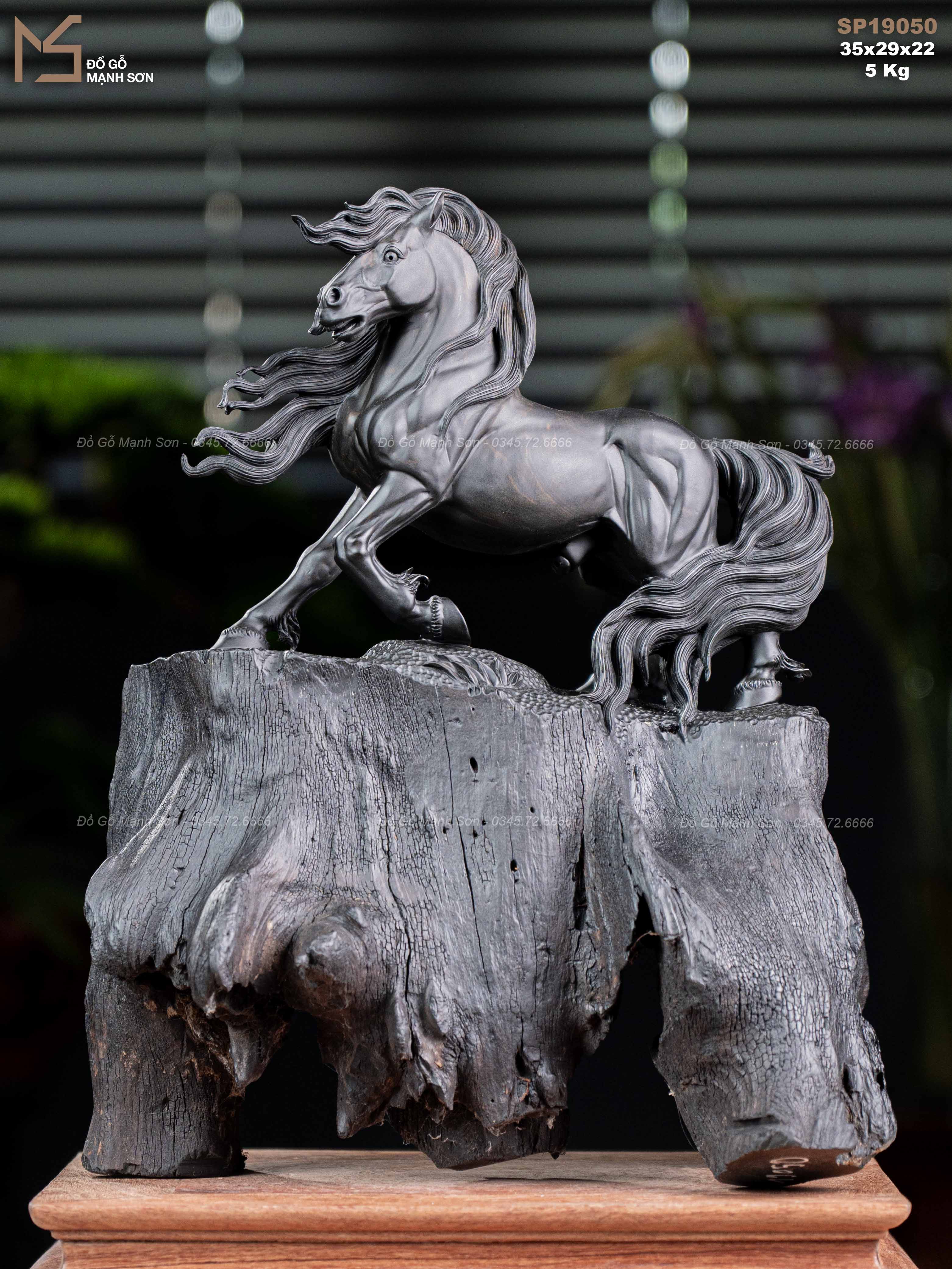 TƯỢNG NHẤT MÃ MUN