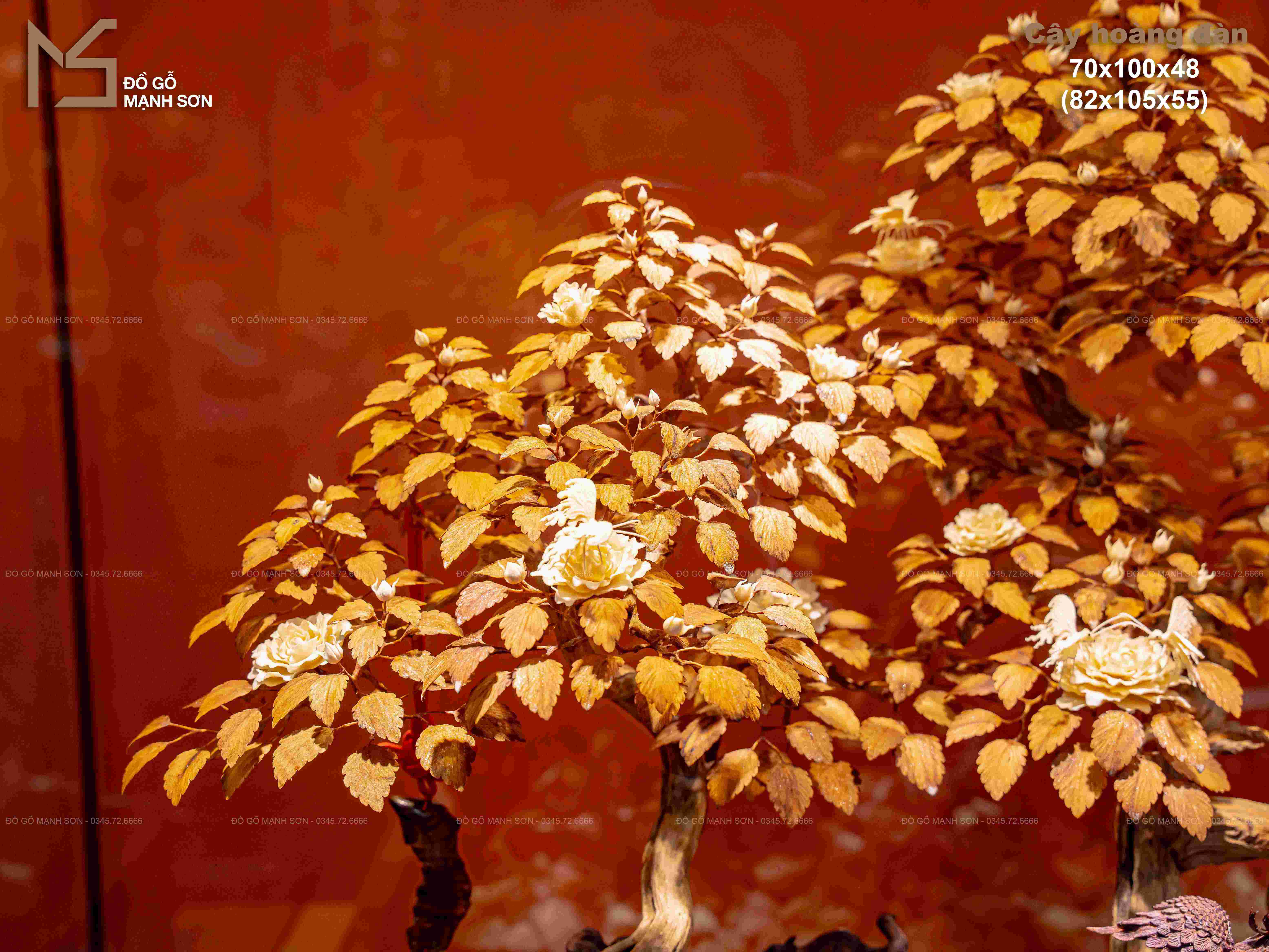 CÂY HOA HỒNG CỔ THỤ HOÀNG ĐÀN