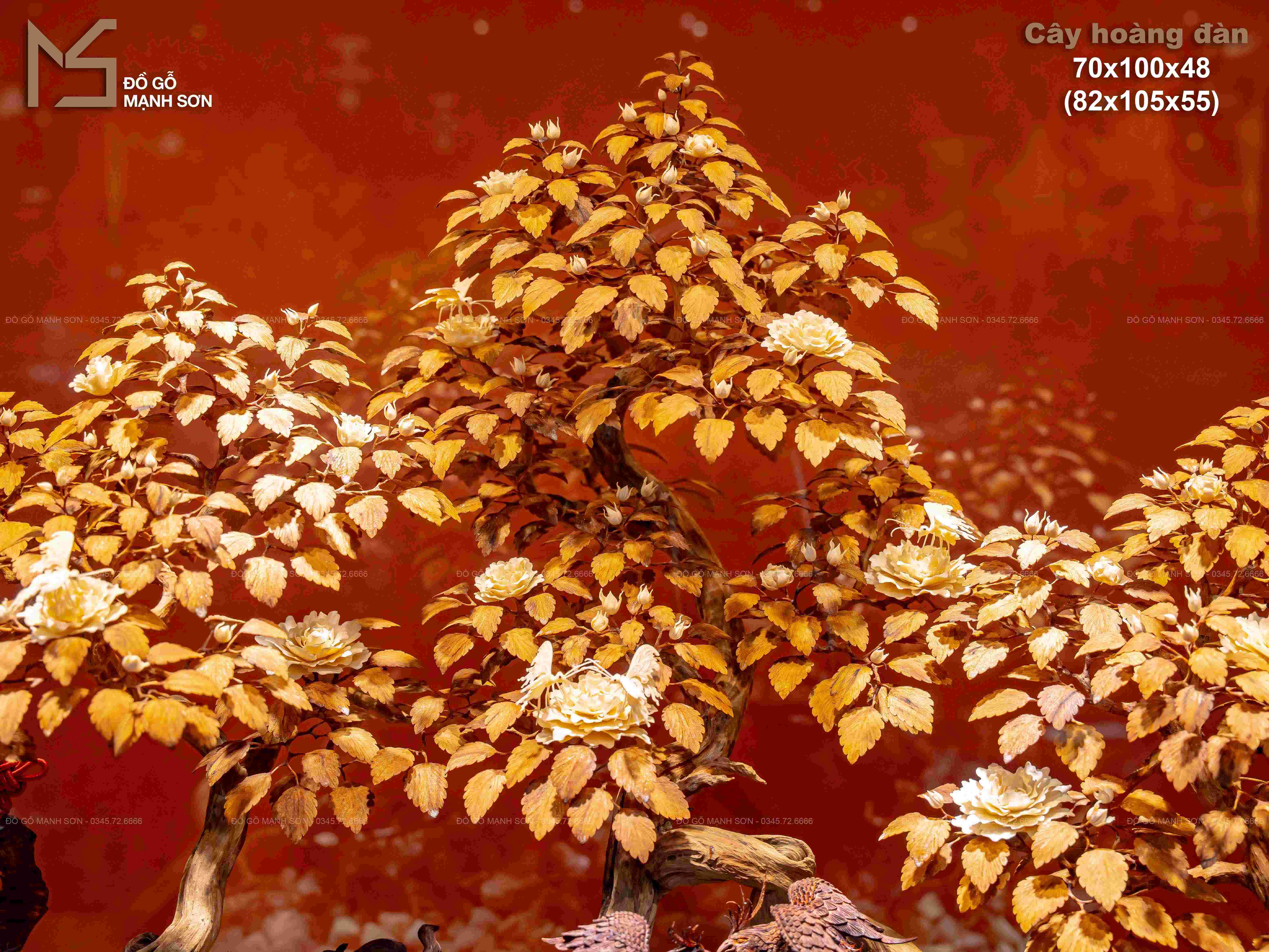 CÂY HOA HỒNG CỔ THỤ HOÀNG ĐÀN