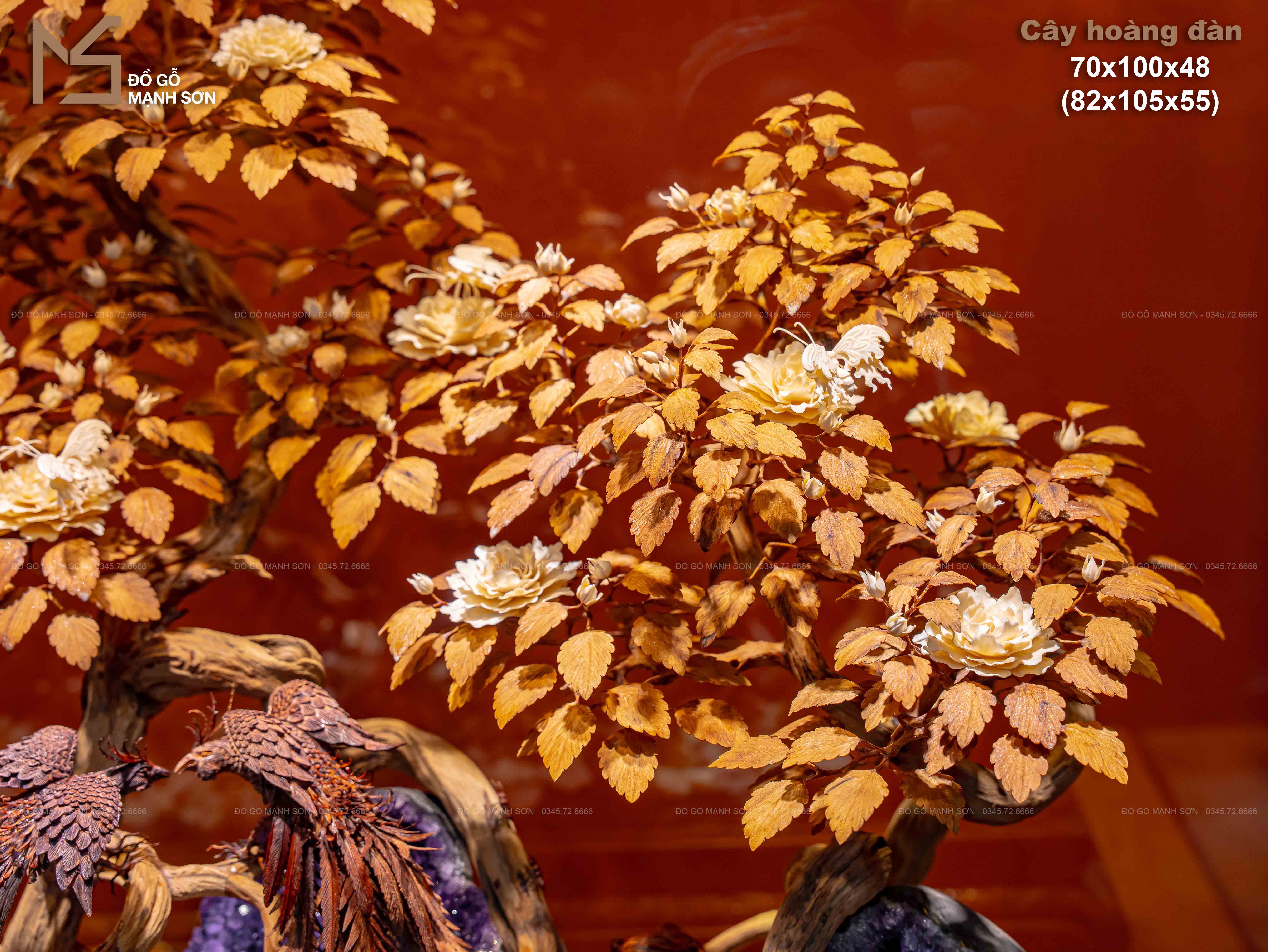 CÂY HOA HỒNG CỔ THỤ HOÀNG ĐÀN