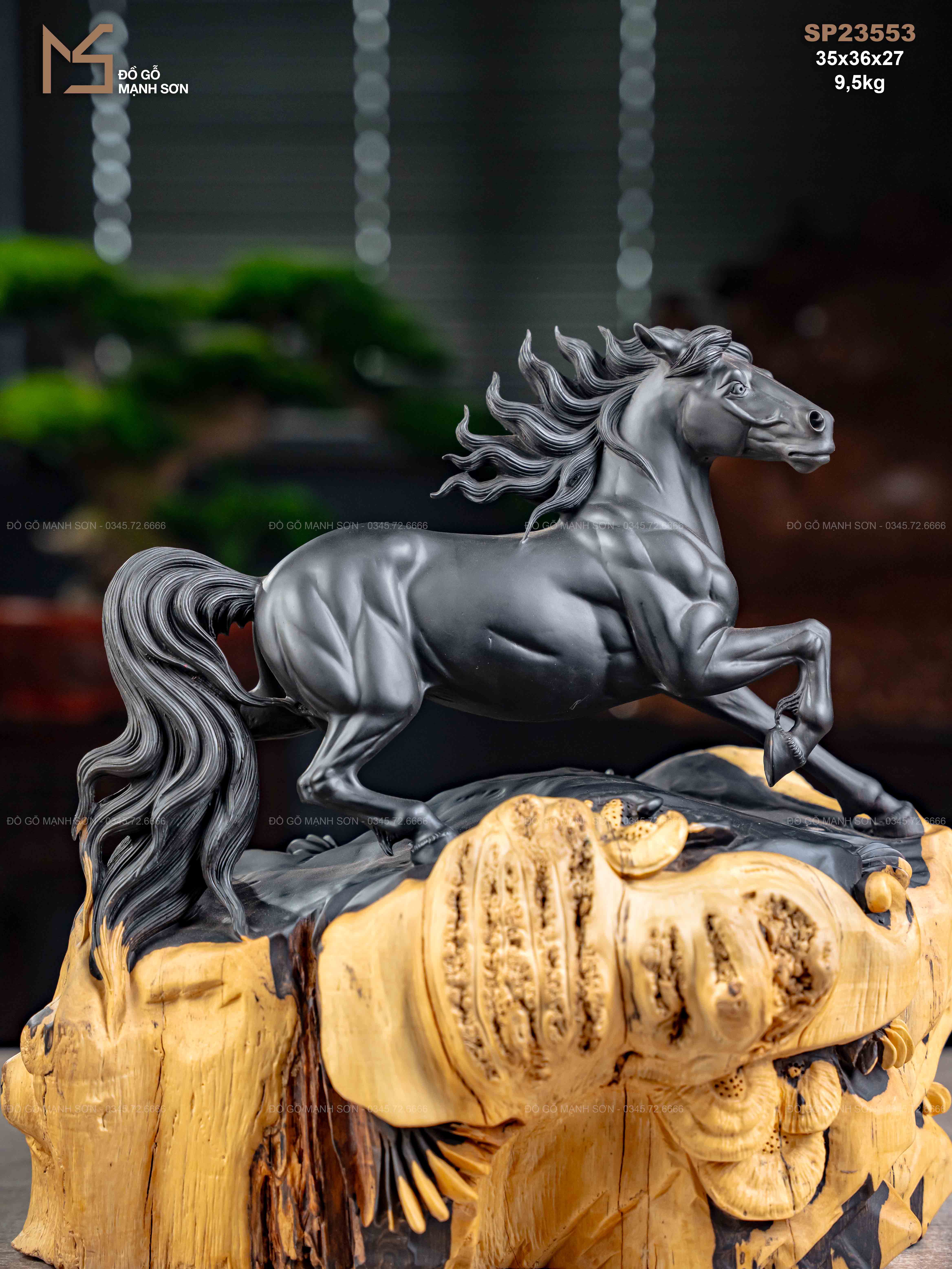 TƯỢNG NHẤT MÃ NU MUN