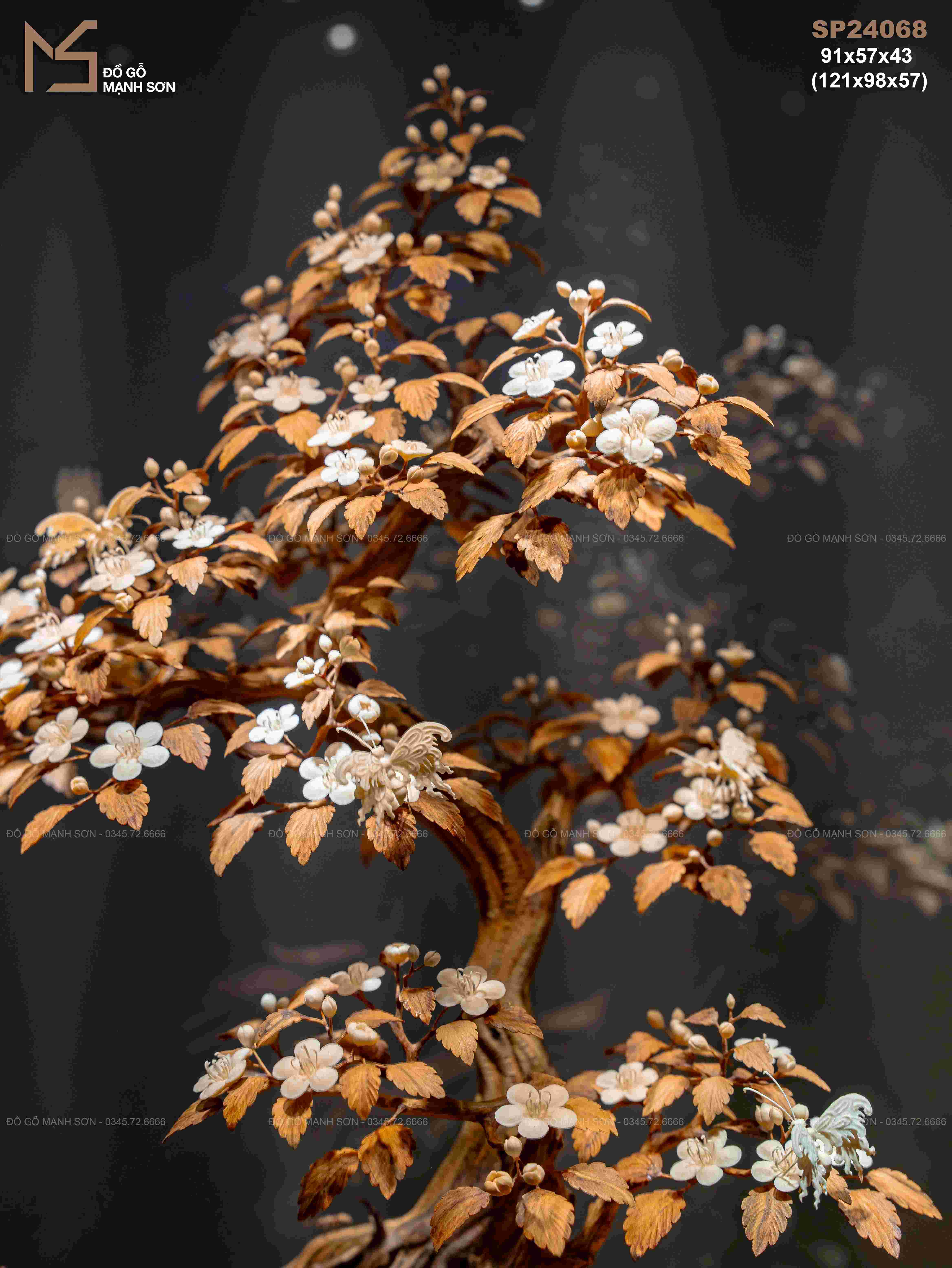 CHẬU HOA HỒNG HOÀNG ĐÀN