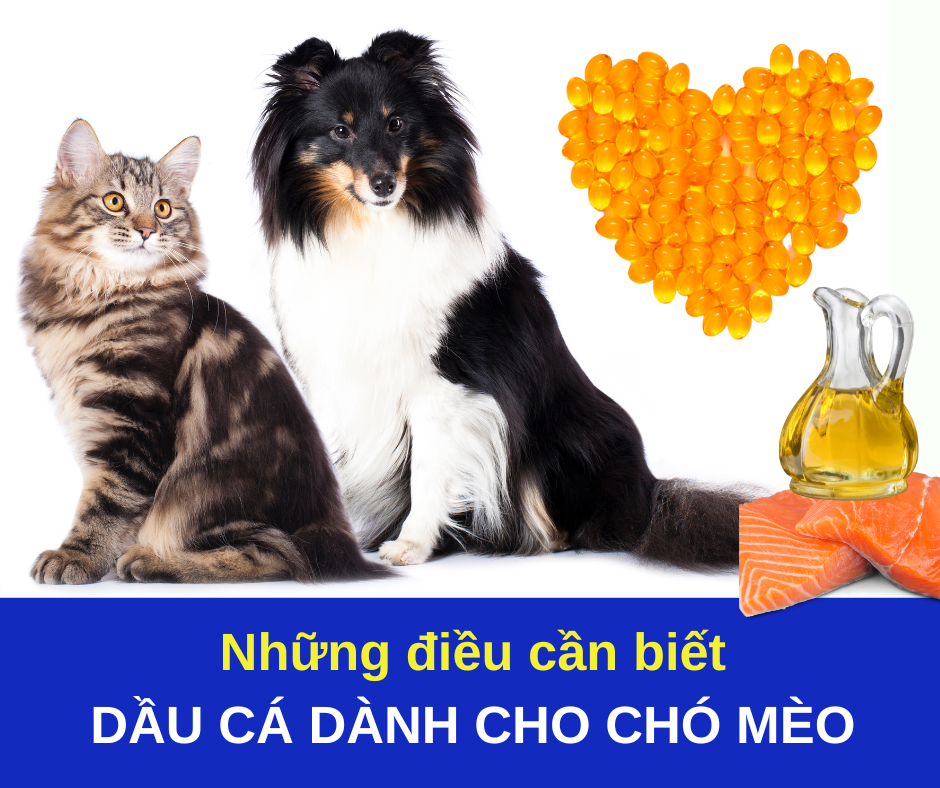 3. Hỗ trợ xương và khớp khỏe mạnh