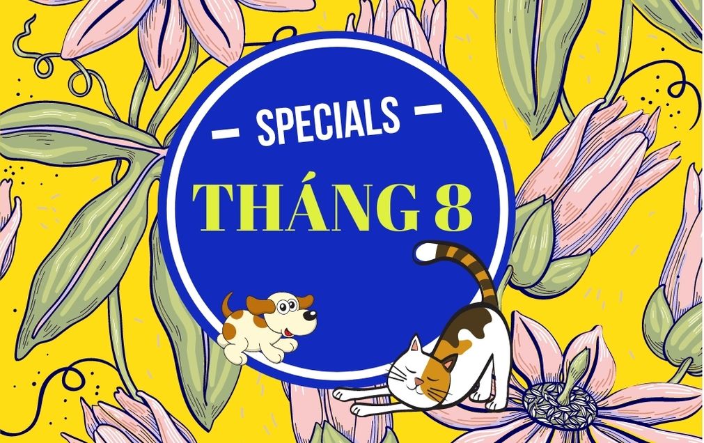 THÁNG 8 - 