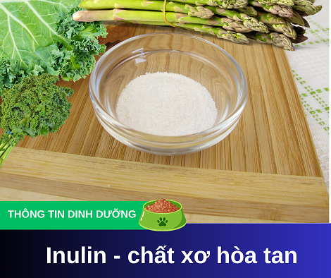 Inulin cho chó: Khám phá 5 lợi ích sức khỏe hàng đầu