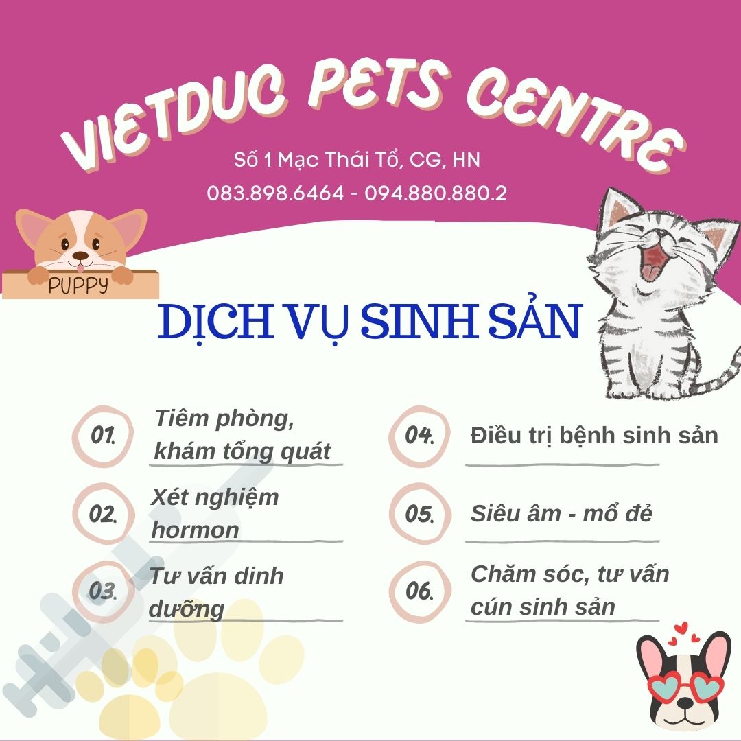 DỊCH VỤ SINH SẢN