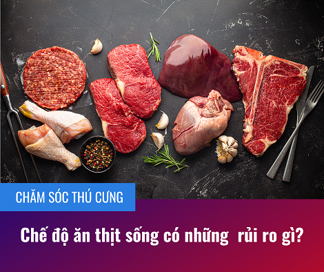 Chế độ ăn thịt sống có những nguy hiểm gì?