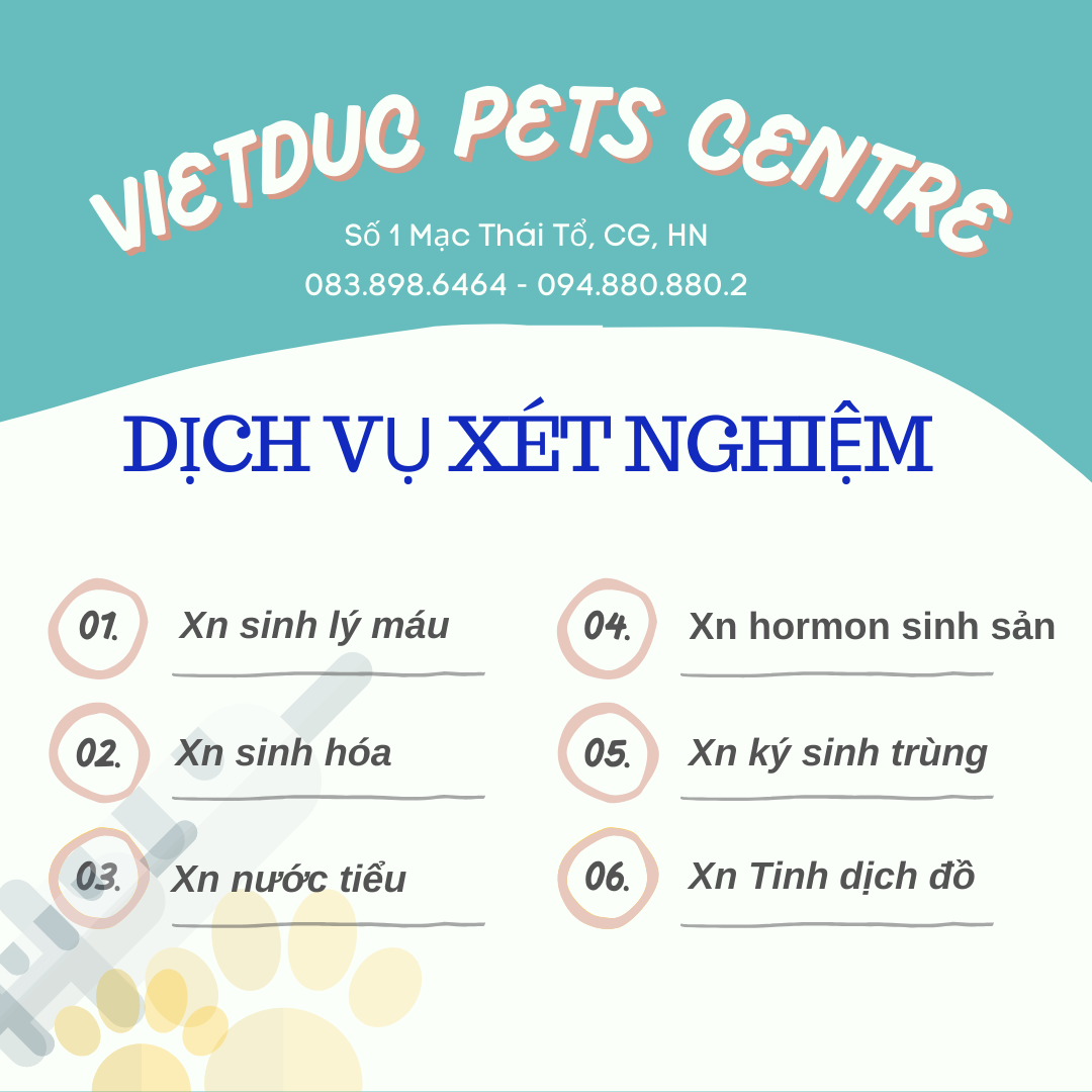 Dịch vụ xét nghiệm tại VietDuc Pets Centre