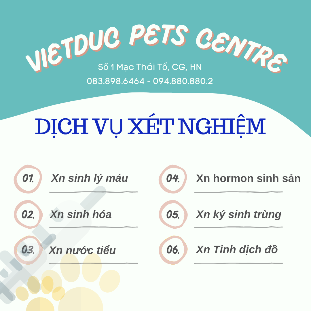 DỊCH VỤ XÉT NGHIỆM