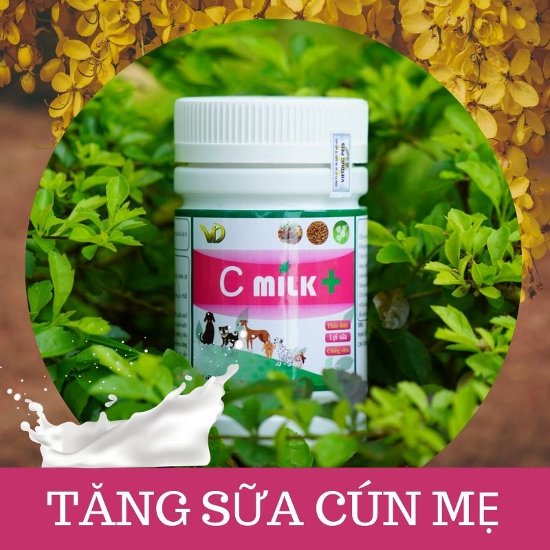 3 lý do khiến cún sơ sinh kêu nhiều - Vietduc