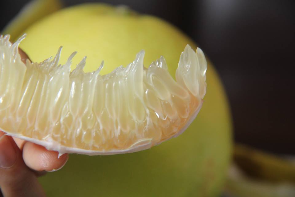 Cách giảm cân bằng bưởi