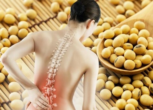 Mầm đậu nành chống loãng xương