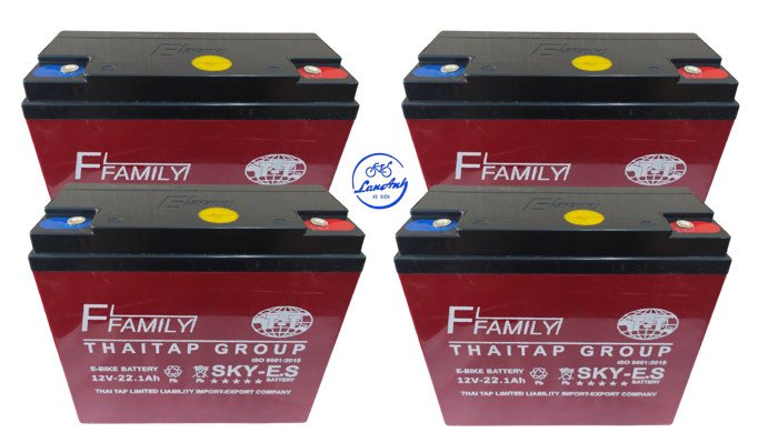 acquy xe đạp điện mới