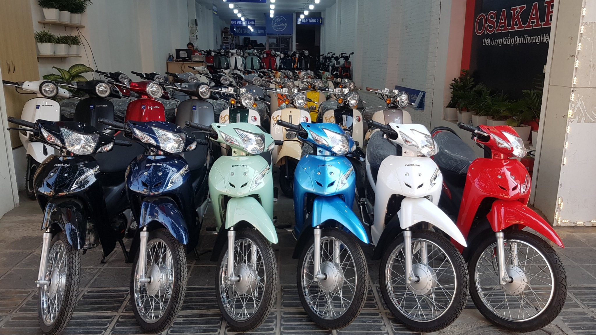 xe wave 50cc - Xe điện Lan Anh