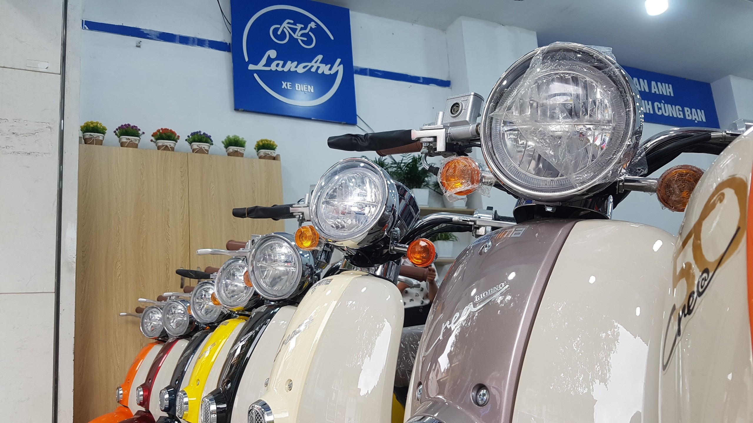 crea 50cc