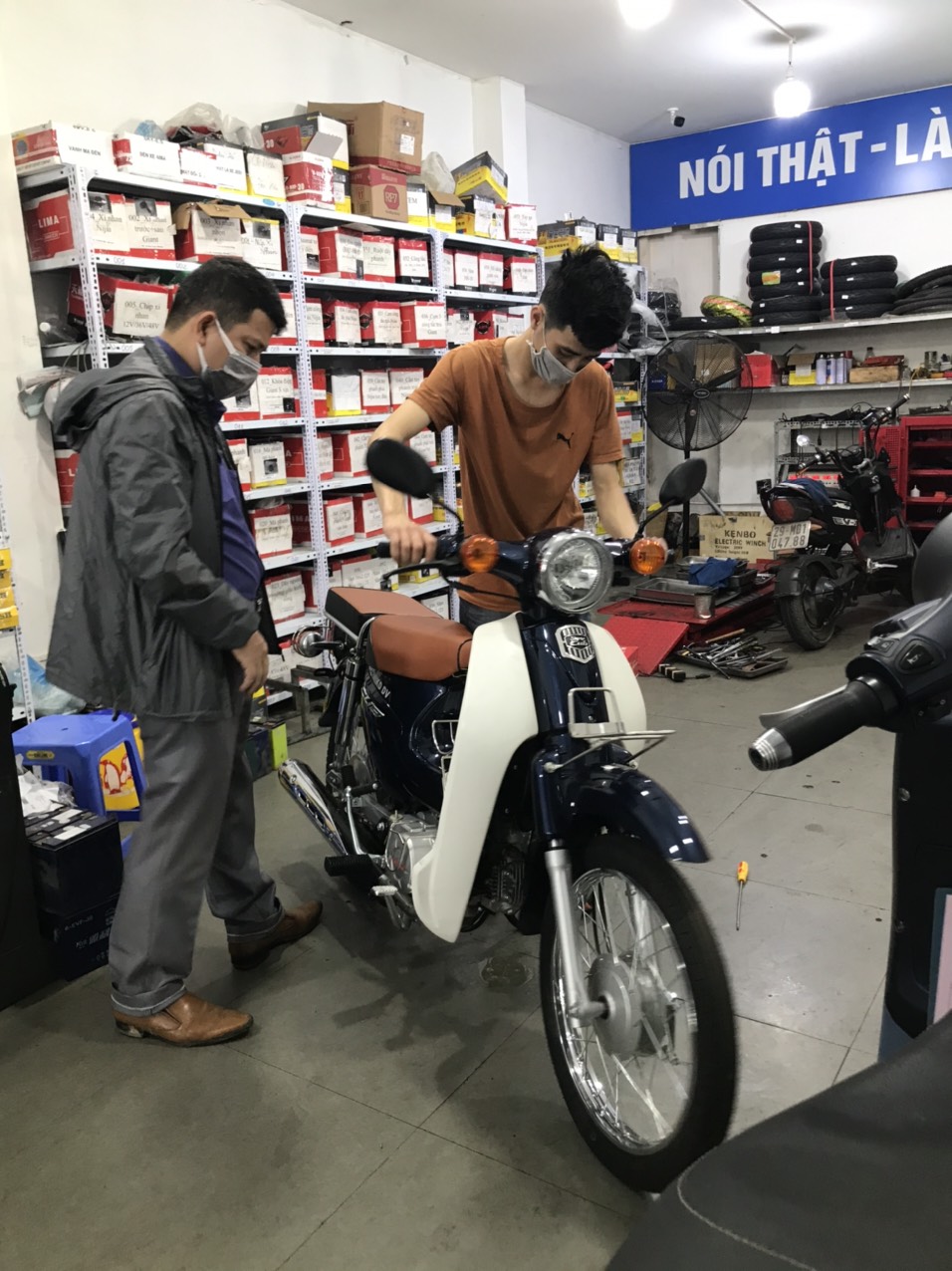 Cub 50