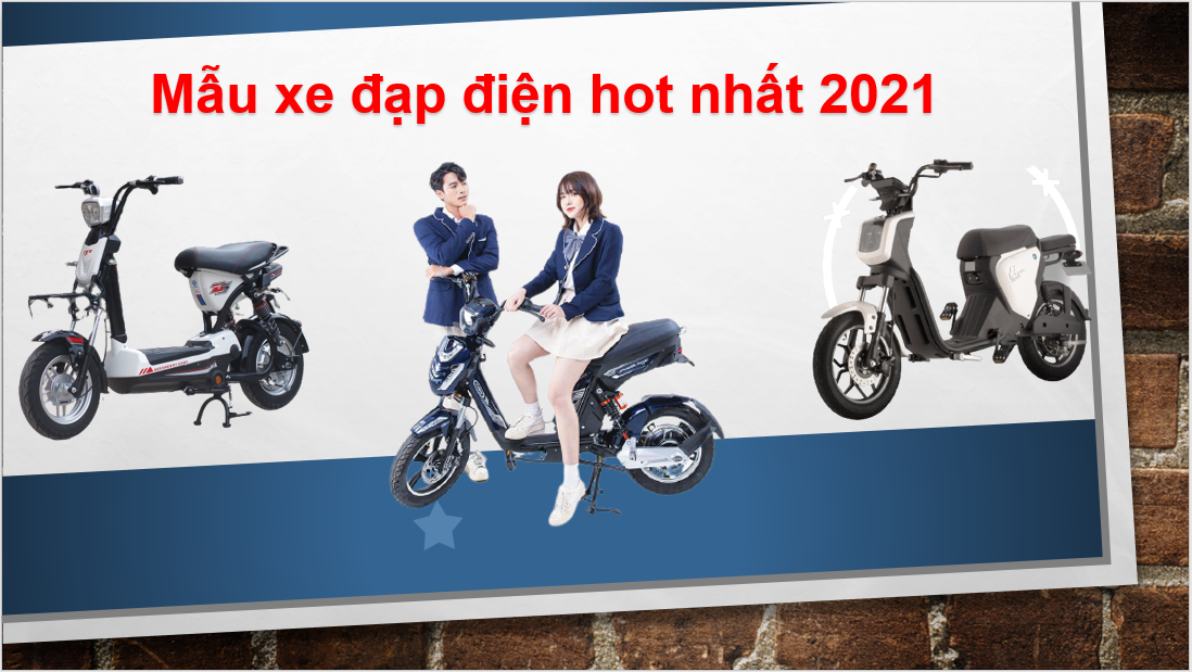 Xe đạp điện