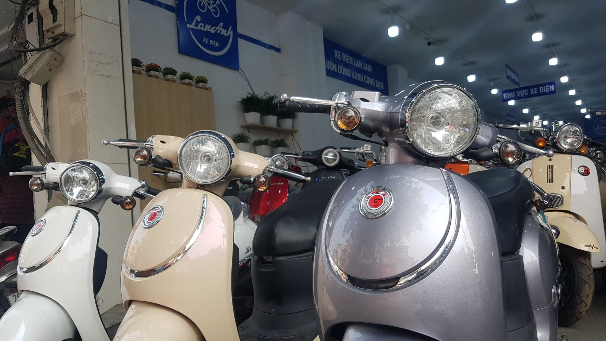 Giorno 50cc- Xe Điện Lan Anh