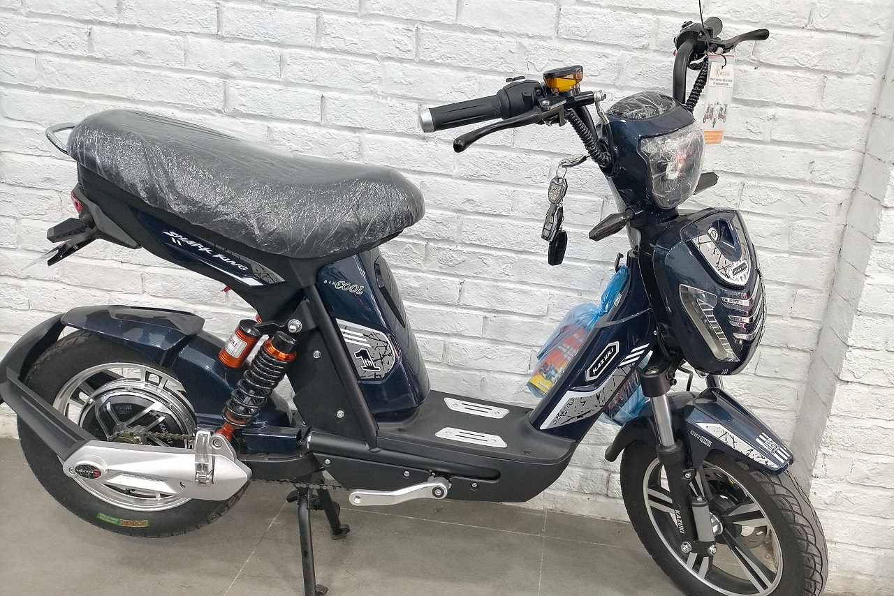 mua xe đạp điện