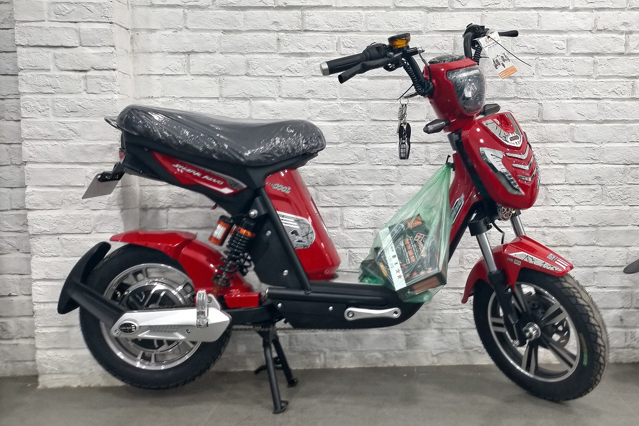 Xe đạp điện