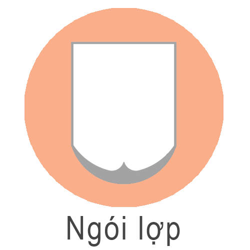 Ngói lợp