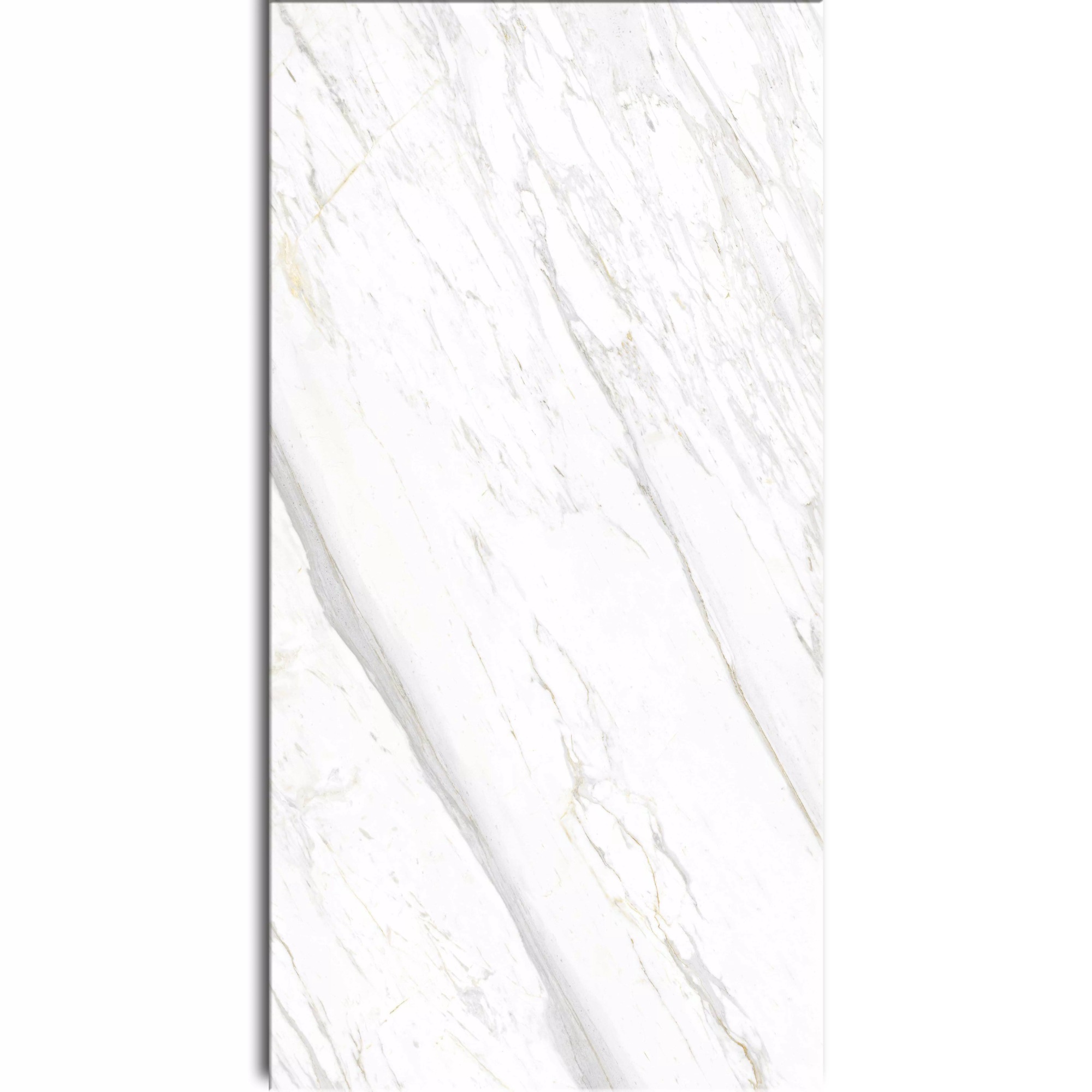 Gạch ốp lát Signature SIG.P-61201