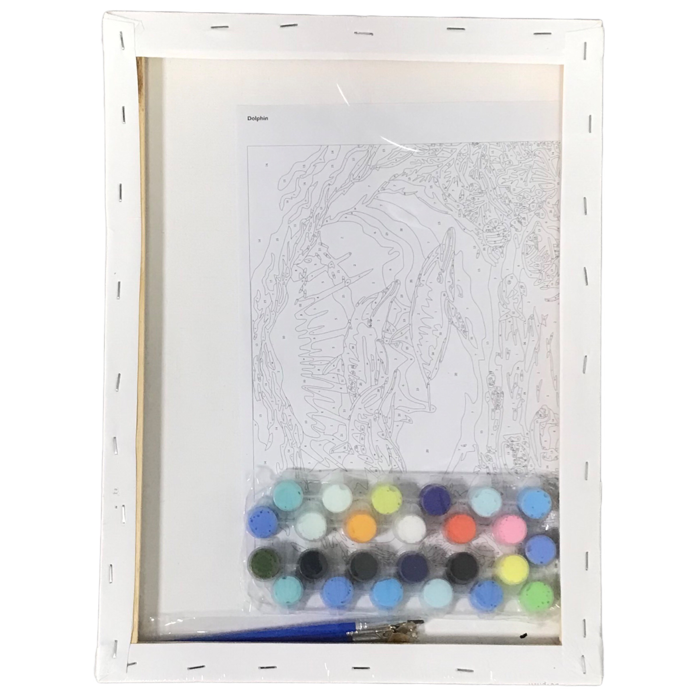 Tranh Tô Màu Số Hoá Colormate Dolphin Dp-A3 30X40Cm